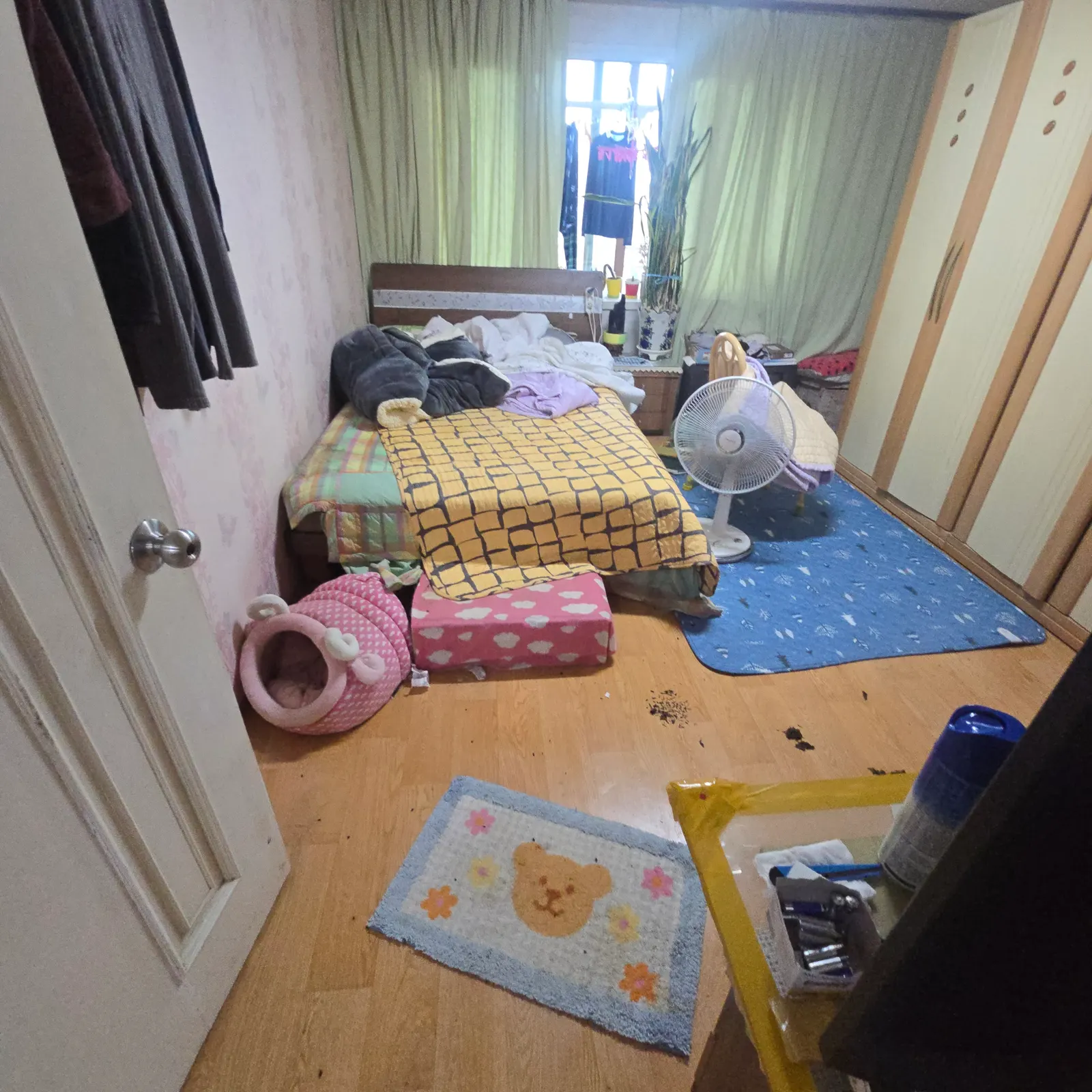 고독사 사례 23 작업 전 사진